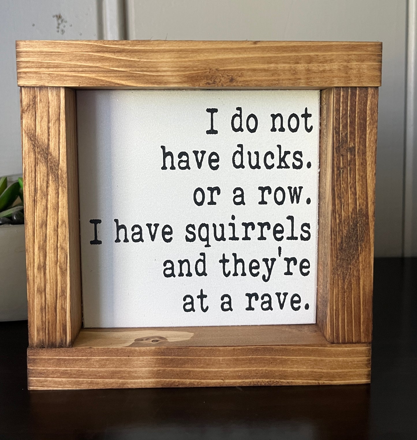Squirrels -Rave 6"