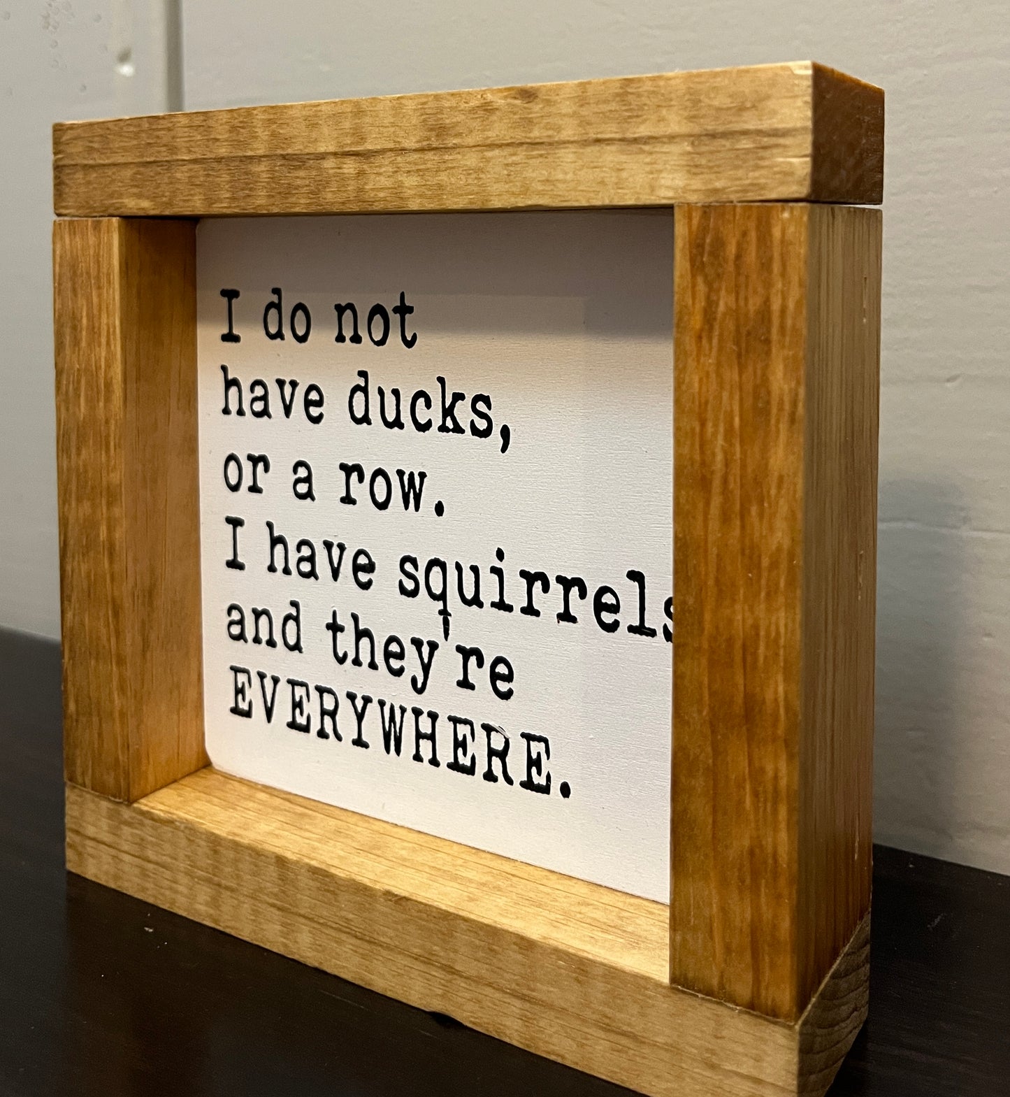 Squirrels Everywhere...6"