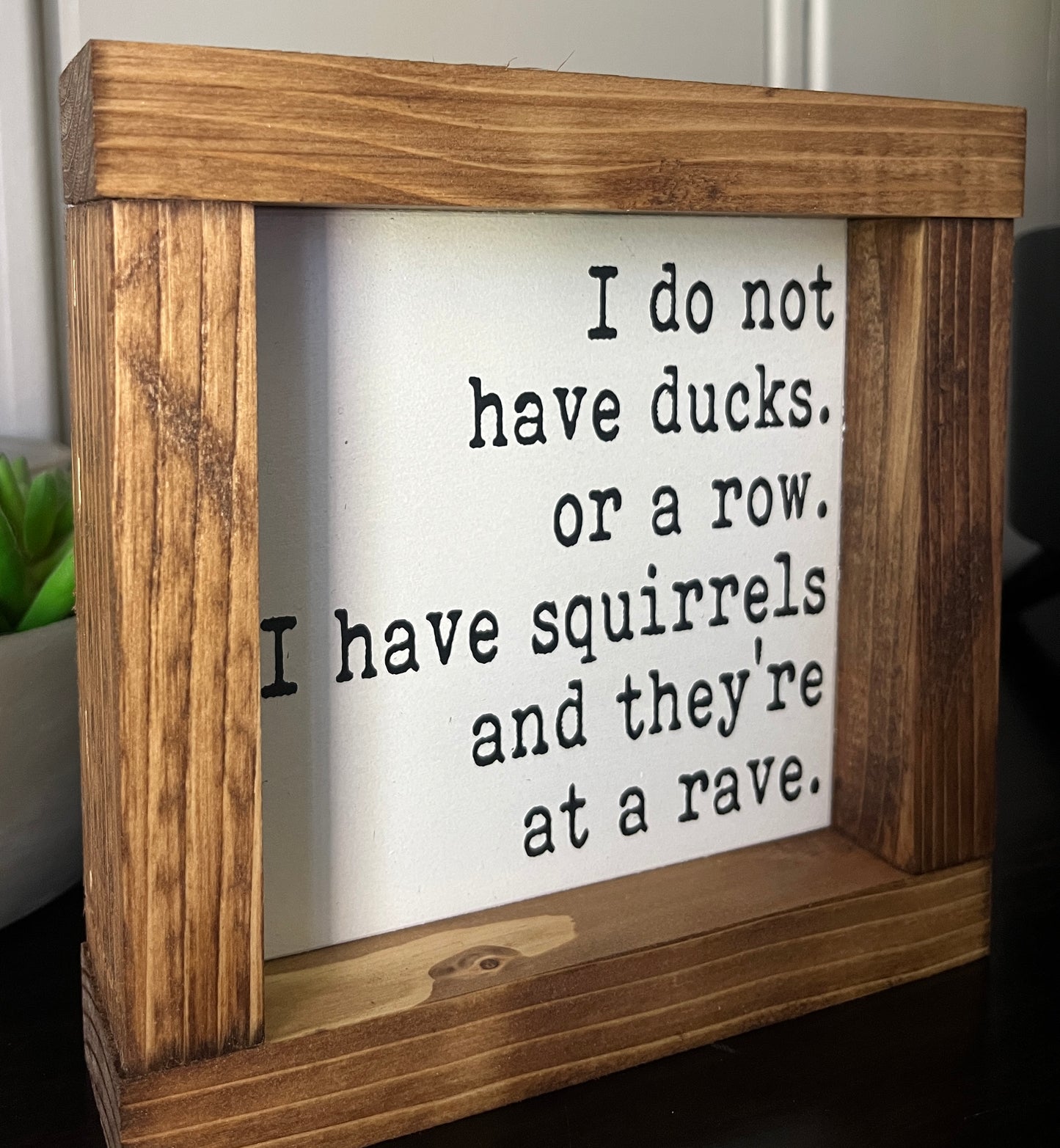 Squirrels -Rave 6"