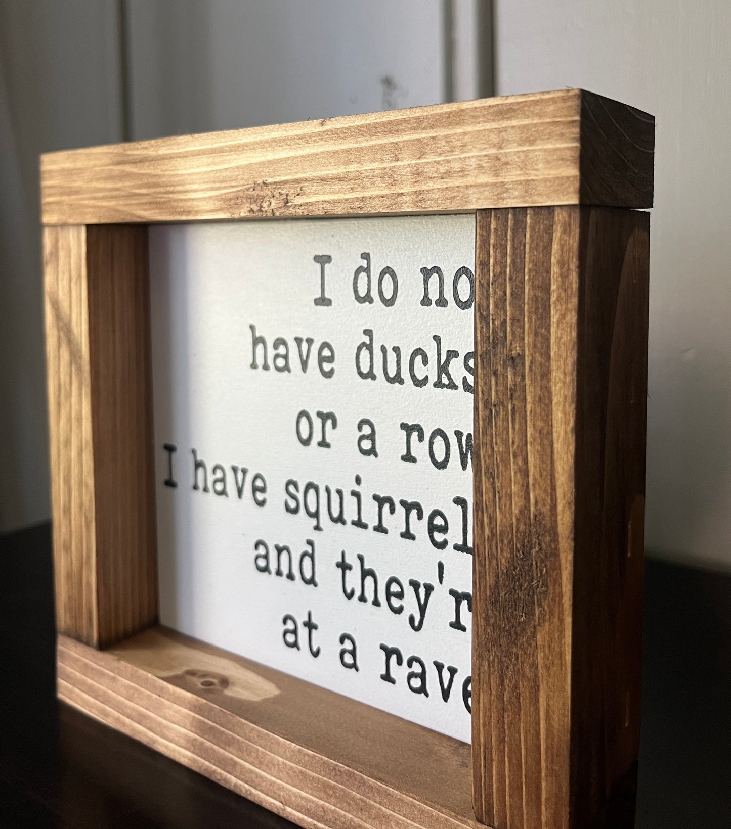 Squirrels -Rave 6"